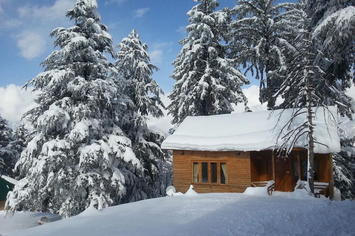 Arcadian Sprucewoods Hotel Shogran Екстериор снимка